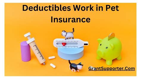 pet insurance without deductible.